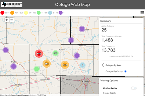 Outage Snapshot